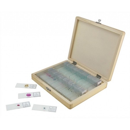 Set mit 100 präparierten objektträgern