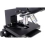 Microscopio trinocular biológico levenhuk 870t