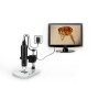 Microscope numérique Levenhuk DTX TV