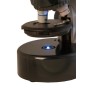 Microscopio Levenhuk LabZZ M101