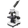 Digital microscope Levenhuk Rainbow D2L 0.3M, moonstone