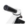 Digital microscope Levenhuk Rainbow D2L 0.3M, moonstone