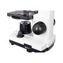 Digital microscope Levenhuk Rainbow D2L 0.3M, moonstone