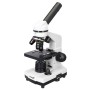 Microscope Levenhuk arc-en-ciel 2L