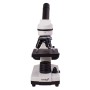 Levenhuk rainbow 2l microscope