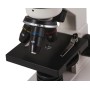 Levenhuk rainbow 2l microscope