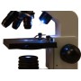 Microscope Levenhuk arc-en-ciel 2L