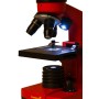 Rainbow Levenhuk Microscope 2L