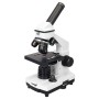Rainbow 2l plus levenhuk microscope