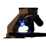 Microscop levenhuk rainbow 2l plus