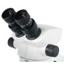 Levenhuk ZOOM 1B Binokulares Mikroskop