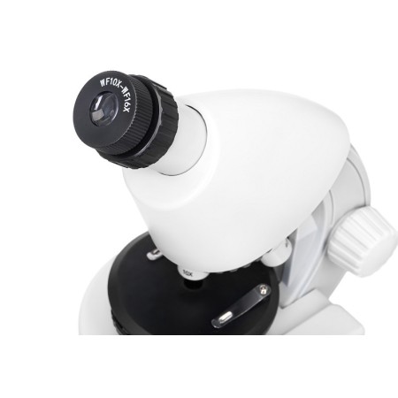 Microscopio levenhuk discovery micro con libro