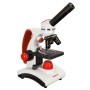 Levenhuk Discovery Pico Microscopen