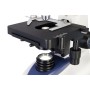 Microscope numérique LCD Levenhuk D95L