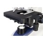 Microscopio digital LCD Levenhuk D95L