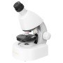 Micromicroscope Levenhuk Discovery avec livre