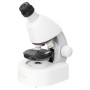 Levenhuk Discovery Mikroskop mit Buch