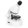 Micromicroscope Levenhuk Discovery avec livre