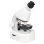 Levenhuk Discovery Mikroskop mit Buch