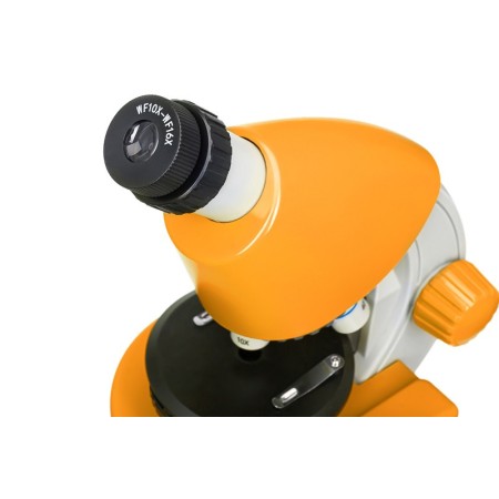 Microscopio levenhuk discovery con libro