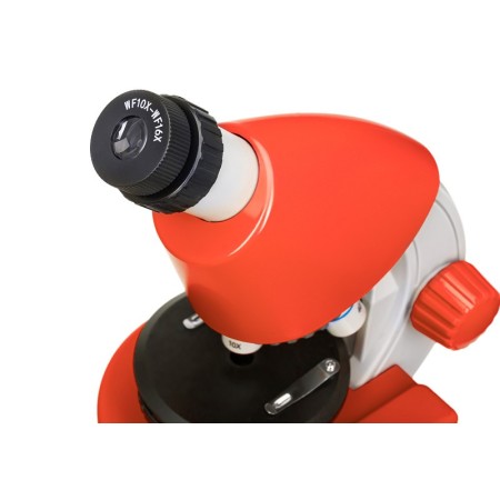 Mikroskop levenhuk discovery s knihou