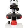 Microscopes levenhuk discovery pico