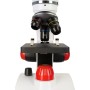 Pico Levenhuk Discovery Microscopes