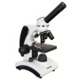 Levenhuk Discovery Pico-Mikroskope