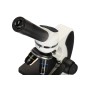 Pico Levenhuk Discovery Microscopes