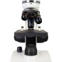 Microscopes Levenhuk Discovery Pico