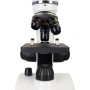 Levenhuk Discovery Pico Polaire Digitale Microscoop met Boek