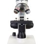 Femto Polar Levenhuk Discovery Microscope with Book