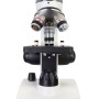 Microscopio Polar Levenhuk Discovery Femto con libro