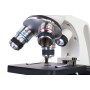 Microscopio digital Femto Polar Levenhuk Discovery con libro