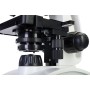 Microscope polaire Levenhuk Discovery Atto avec livre