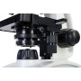 Polar Levenhuk Discovery Atto Microscope with Book