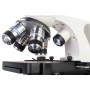 Microscopio polar Levenhuk Discovery Atto con libro