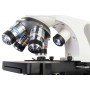 Polar Levenhuk Discovery Atto Microscope with Book