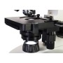 Polar Levenhuk Discovery Atto Microscope with Book