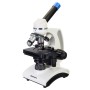 Microscopio digitale Levenhuk Discovery Atto Polar con libro