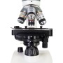 Microscopio digital Polar Levenhuk Discovery Atto con libro