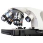 Atto polar levenhuk discovery digital microscope with book