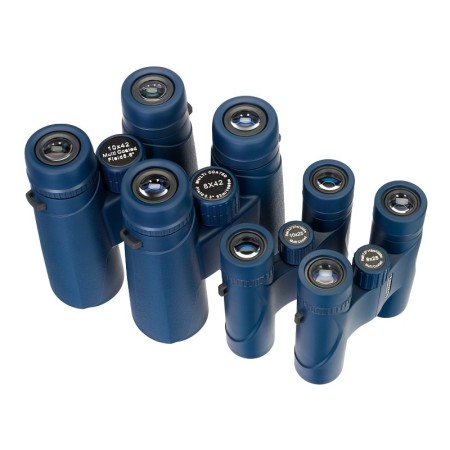 Binoculars levenhuk discovery elbrus 8x25