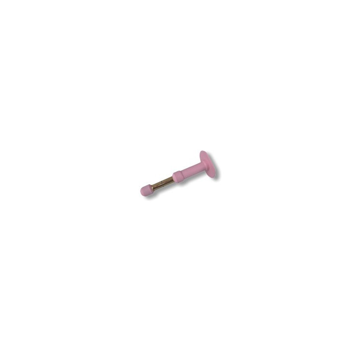 Sonda anal sem fio BEAC A2ST