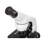 Microscopio digitale Levenhuk Rainbow D50L PLUS 2M, moonstone