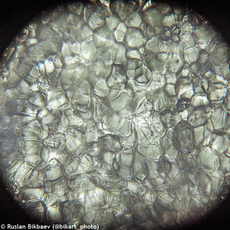 Microscopio digital levenhuk rainbow d50l plus 2m, piedra lunar