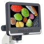 Microscopio digital LCD Levenhuk Rainbow DM700