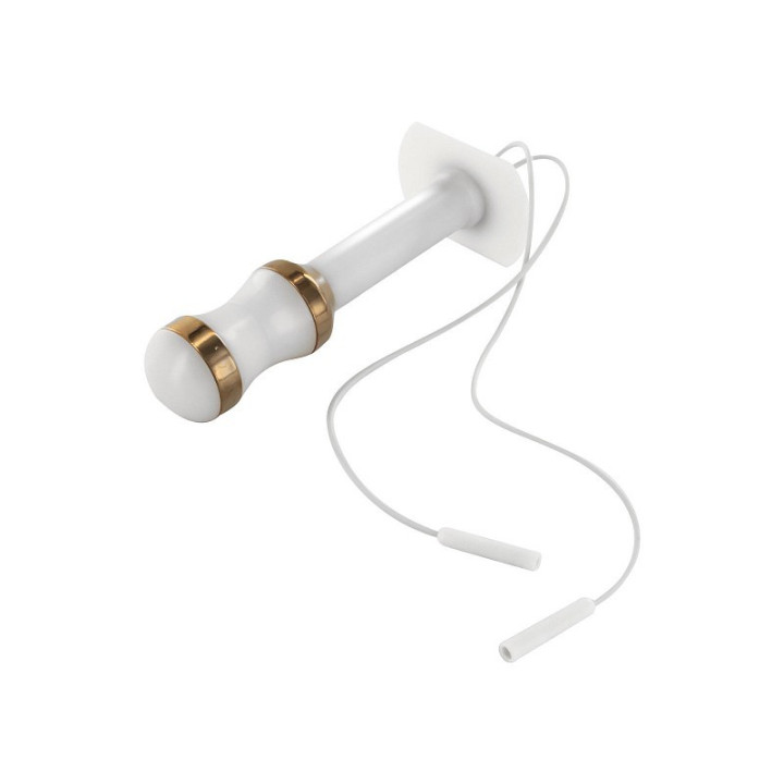 Globus vaginal sonde