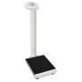 Professional Electronic Column Personal Scale with BMI RA200