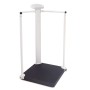 Professional electronic personal scale with handrail rh300
